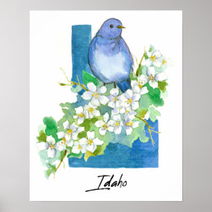 Idaho State Shape Mountain Bluebird Syringa  Poster