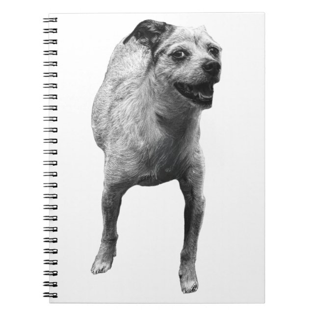 Ideas With A Wag Notebook (Front)