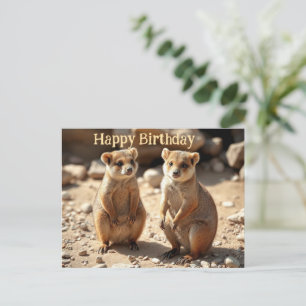 Identical Brothers: Australian Quokka Twins,  Postcard