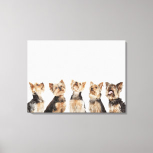 Identical dogs sitting together canvas print