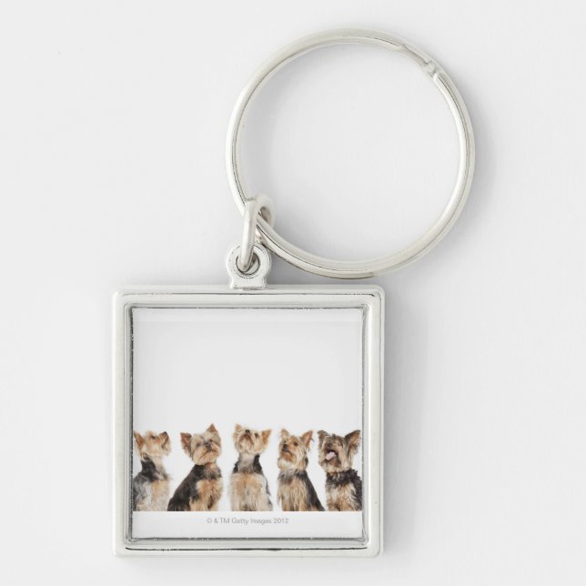 Identical dogs sitting together keychain (Front)
