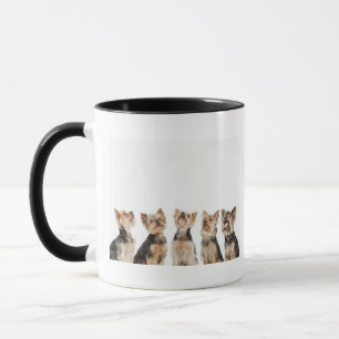 Identical dogs sitting together mug