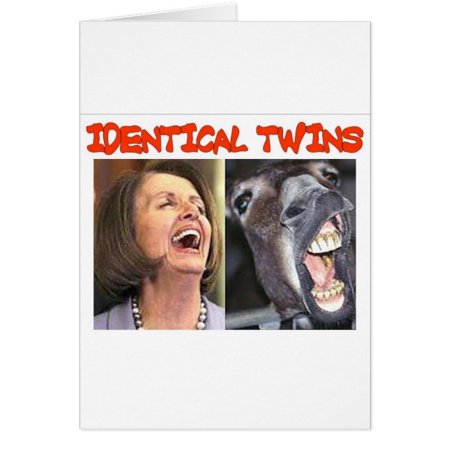 IDENTICAL TWINS (Front)