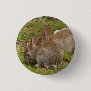 Identical twins 1 inch round button