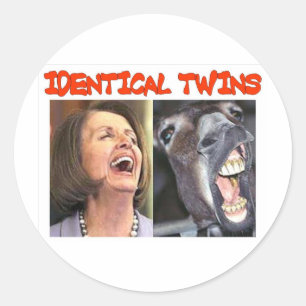 IDENTICAL TWINS CLASSIC ROUND STICKER