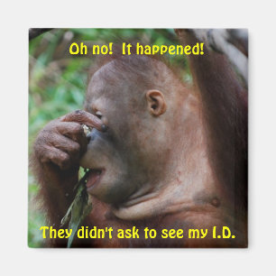 Identification Magnet