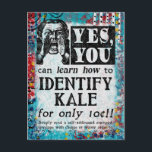Identify Kale - Funny Vintage Ad Postcard<br><div class="desc">A whimsical faux vintage victorian newspaper ad to 'Learn How To Identify Kale'.</div>