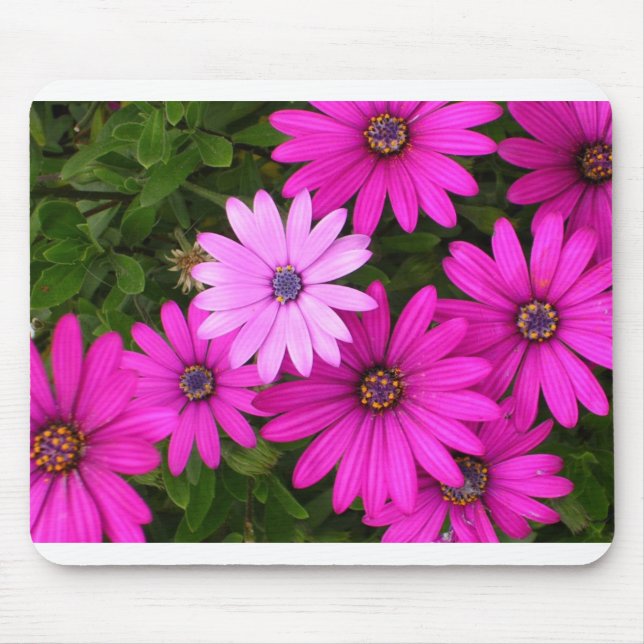 Identity (mousepad) mouse pad (Front)