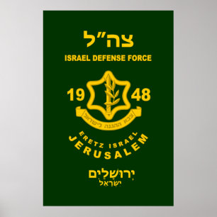 IDF - Sar El Volunteer Program Poster