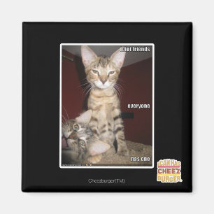 Idiot Friends Magnet