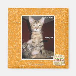 Idiot Friends Magnet