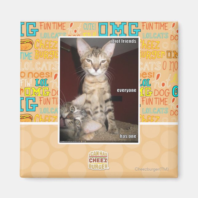 Idiot Friends Magnet (Front)