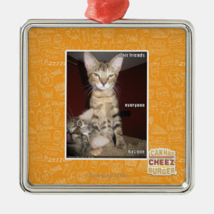 Idiot Friends Metal Ornament