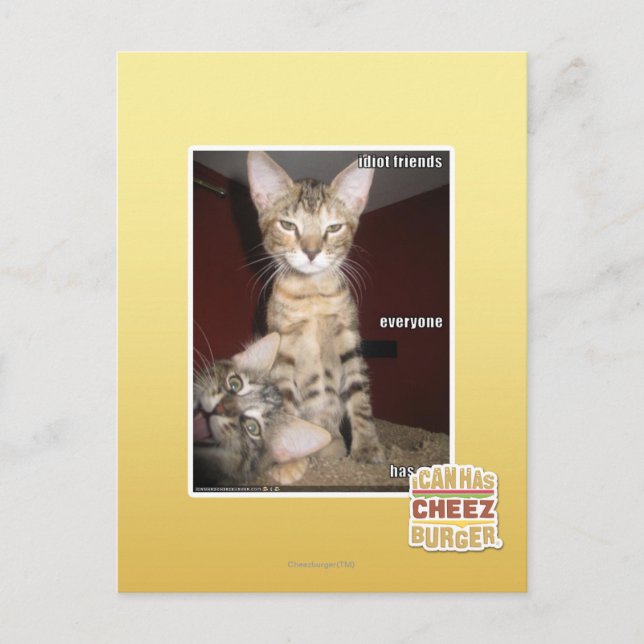 Idiot Friends Postcard (Front)