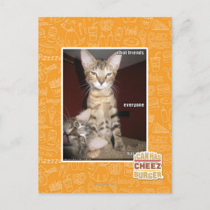 Idiot Friends Postcard