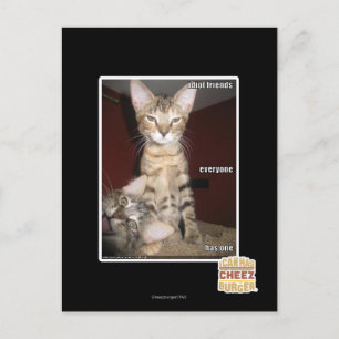 Idiot Friends Postcard