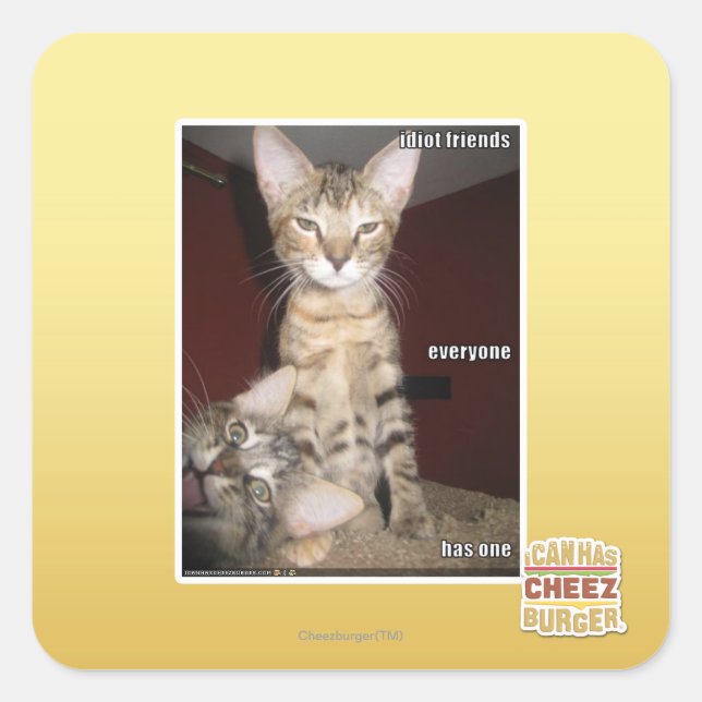 Idiot Friends Square Sticker (Front)