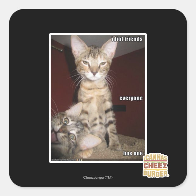 Idiot Friends Square Sticker (Front)