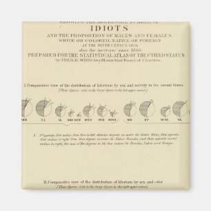 Idiots, Statistical US Lithograph 1870 Magnet