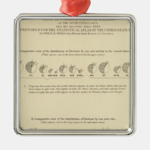 Idiots, Statistical US Lithograph 1870 Metal Ornament