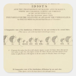 Idiots, Statistical US Lithograph 1870 Square Sticker