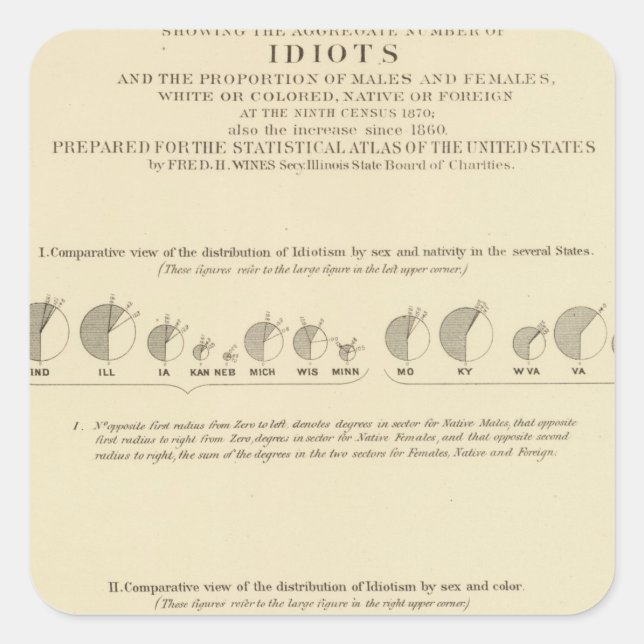 Idiots, Statistical US Lithograph 1870 Square Sticker (Front)