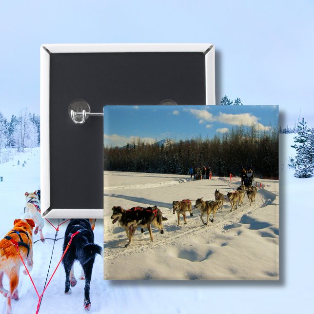 Iditarod Trail Sled Dog Race 2 Inch Square Button (Iditarod Trail Sled Dog Race Button)