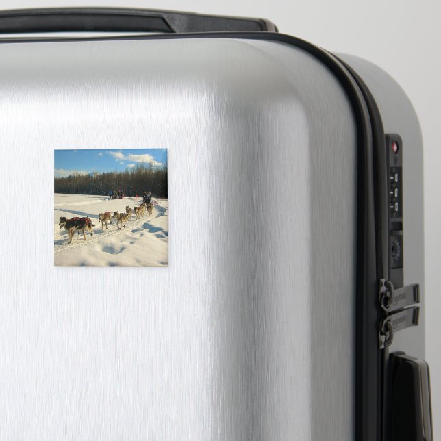 Iditarod Trail Sled Dog Race Magnet (In Situ (Luggage))