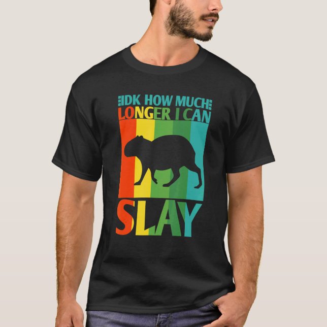 Idk How Much Longer I Can Slay  Capybara Meme Vint T-Shirt (Front)