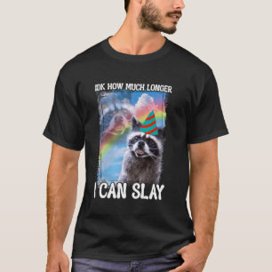 Idk How Much Longer I Can Slay Raccoon T-Shirt