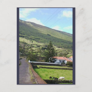 Idyllic Home / Scenic Landscape Photo Postcard