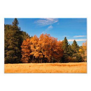 Idyllwild - Pine Cove Photo Print