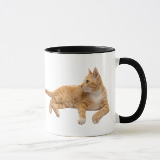 If cats could text you back... mug