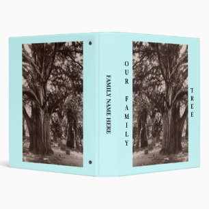 IF DE CLASSEUR DE L'ARBRE GÉNÉALOGIQUE DU