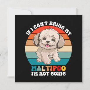 If I Can't Bring My Maltipoo Dog, I'm Not Going