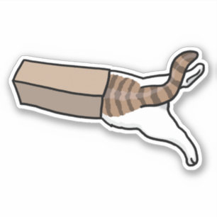 If I Fit I Sit Cat in Box