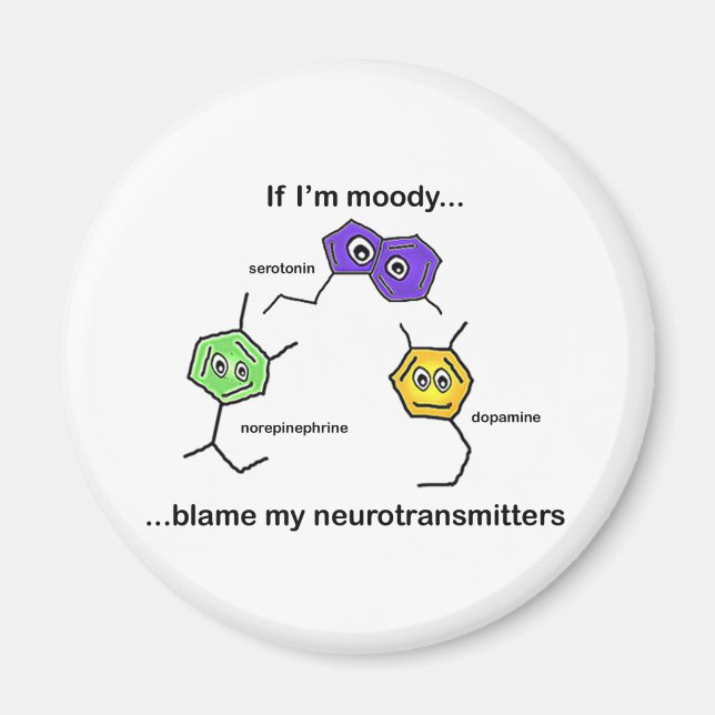 If I'm Moody... Magnet (Front)