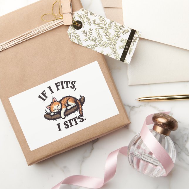 If it Fits I Sits Funny Sleepy Cat Feline Kitten   Sticker (Gifting)