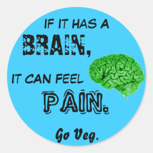 If It Has a Brain, It Can Feel Pain. Go Veg Classic Round Sticker