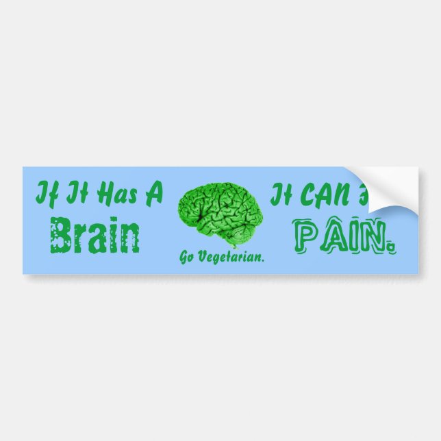 If It Has a Brain, It Can Feel Pain. Go Vegetarian Bumper Sticker (Front)
