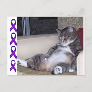 If it requires pants or a bra... Fibro awareness Postcard