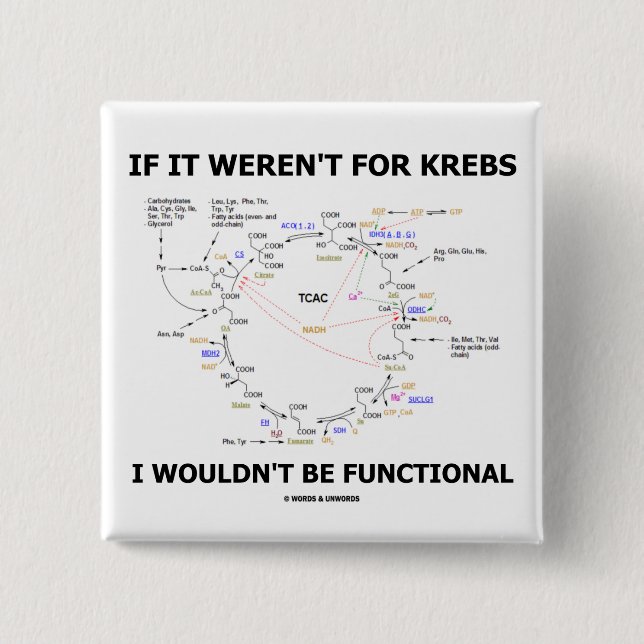 If It Weren't For Krebs I Wouldn't Be Functional 2 Inch Square Button (Front)