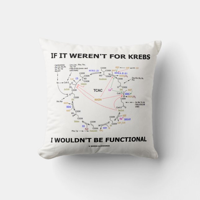 If It Weren't For Krebs I Wouldn't Be Functional Throw Pillow (Front)