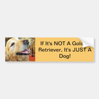 If Its NOT A Golden Retriever...... Bumper Sticker
