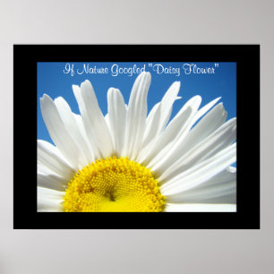 If Nature Googled "Daisy Flower" art print gifts