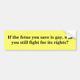 If the fetus you save is gay...? bumper sticker