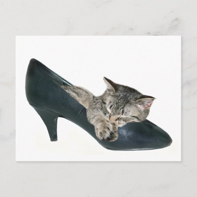 If the shoe fits postcard (Front)