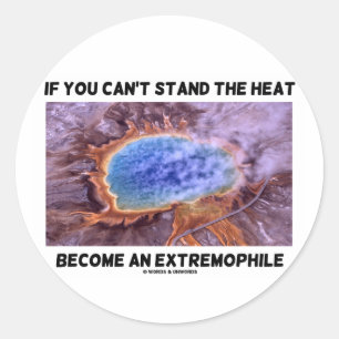 If You Can't Stand The Heat Become An Extremophile Classic Round Sticker