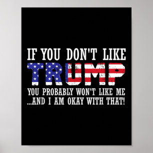 If You Dont Like Trump Then You Wont Like Me  Poster