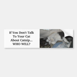 If You Don't Talk To Your Cat Abo... Bumper Sticker